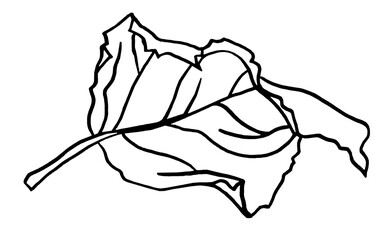 Line art black dry leaf isolated on white background. Autumn art creative object for coloring book, card, wallpaper, wrapping, sticker, postcard
