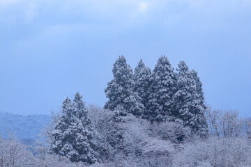 雪景色　冬の朝
