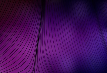 Dark Pink vector layout with bent lines.