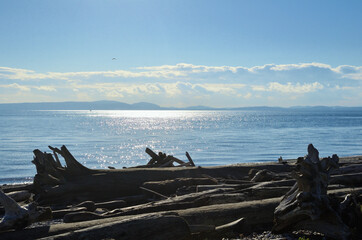 Driftwood on a Beach and Islands on the Horizon