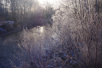 霧氷で白くなった冬の朝の川辺の木々。