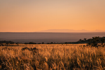 Obraz premium An open desert meadow near Canyonlands National Park