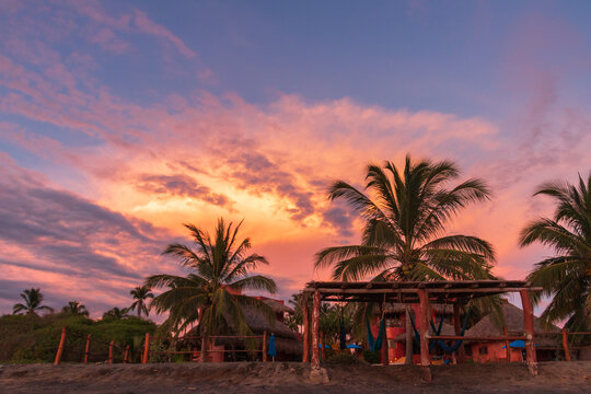 A vibrant tropical sunset on the beach in Mexico with Palm trees