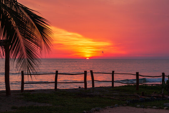 A vibrant tropical sunset on the beach in Mexico with Palm trees