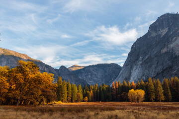 A meadow and trees in Yosemite with scenic fall colors