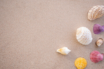 Flat lay Seashells on sand beach at coast. top view with copy space. authentic wonderful beautiful nature. travel summer holidays concept.