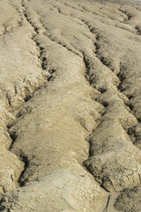 Background with texture of cracks on dried soil