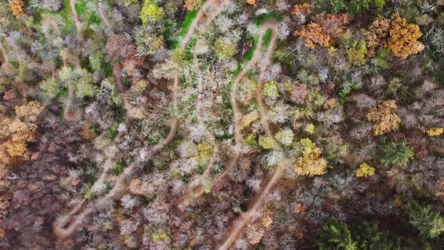 Mountainbiking and hiking trail in a forest. View from above, colorful nature in autumn
