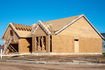 house walls and plywood roof