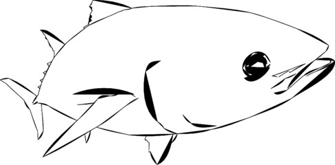 Modern Bluefin Tuna Outline Design