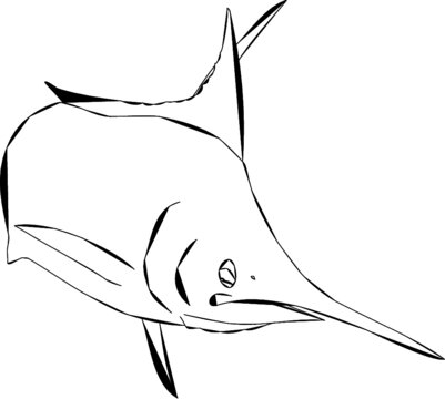 recommend clip art: Modern outline of a jumping Blue Marlin Fish 