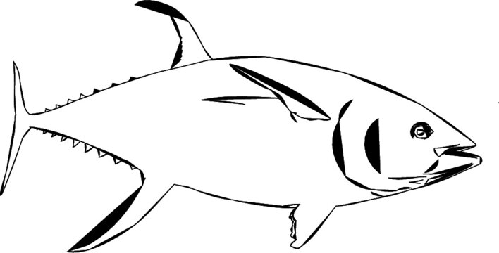 black and white tuna fish outline clip art preview