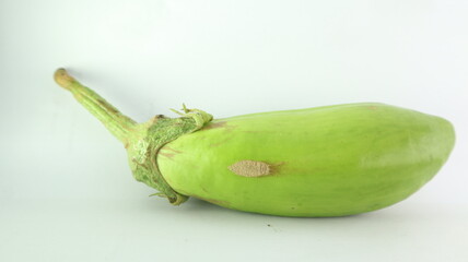 Fresh eggplant, white background