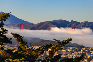 Golden Gate Bridge peeks out from the fog in San Francisco - obrazy, fototapety, plakaty