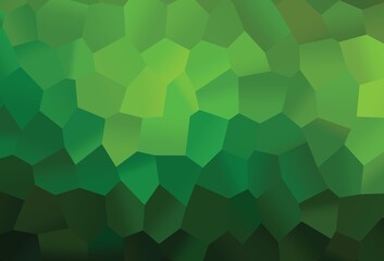 Light Green vector layout with hexagonal shapes.