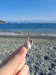 Seascape and hands with empty conch shells