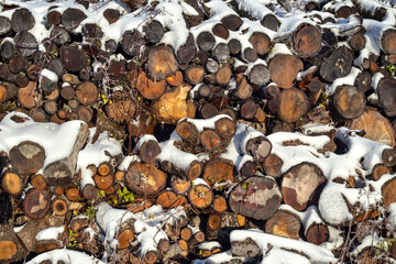 Preparation of firewood for the winter. A stack of neatly stacked firewood on the street with snow.