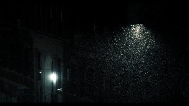 Snow illuminated by a streetlight on a cold, windy night in New York City.