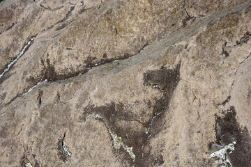 Close up of large textured rock with valleys and small barnacle’s, as a nature background
