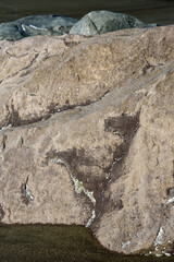 Close up of large textured rock with valleys and small barnacle&rsquo;s, as a nature background
