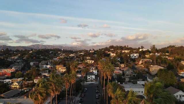 Palm Tree Lined Street in Los Angeles California City