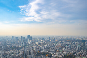 Obraz premium 【六本木ヒルズより】東京都内、都市景観/渋谷方面