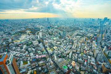 Fototapeta premium 【六本木ヒルズより】東京都内、都市景観/世田谷区方面