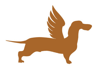 Dachshund with wings. illustration on white, logo, t-shirt design.