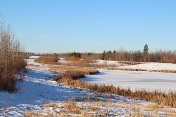Fototapeta na wymiar Winter In The Wetlands, Pylypow Wetlands, Edmonton, Alberta
