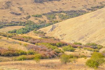Naklejka premium The landscape of the Blue Mountains in northeastern Oregon