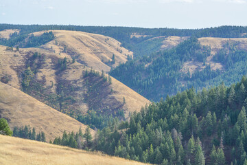 Naklejka premium The landscape of the Blue Mountains in northeastern Oregon