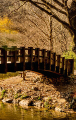 Wooden footbridge over small stream