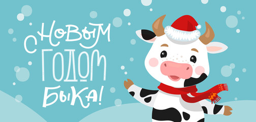 Fototapeta na wymiar Happy New Year Russian Banner. Cute cow and ox dancing and celebrating. Christmas card in a flat style. Chinese new year symbol. 2021 year. Translation Happy New Year