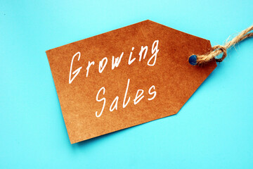 Financial concept about Growing Sales with inscription on the page.