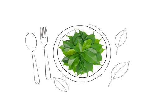 お皿に盛り付けられた緑の葉