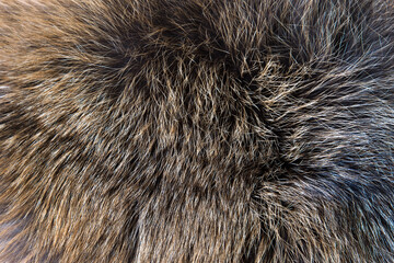 Brown and black natural fur background texture for design, orange animal fell