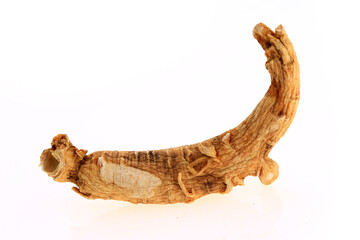 Ginseng on a white background