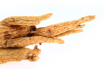 Ginseng on a white background