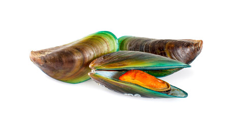 Mussels isolated on a white background © sucharat