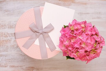 Holiday greeting card. Birthday blank postcard.Pink  box with bow , white card and pink hydrangea flower on white shabby chic background.Women's Day, Mother's Day, Valentine's Day.copy space.