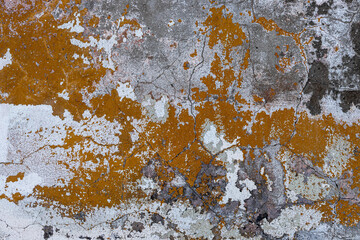 Vintage wall texture. Rough surface of the plastered concrete wall of the building. A pattern with many cracks and old faded peeling paint. Perfect for background and design. Closeup.