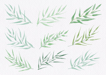Bamboo leaves digital paint on watercolor paper texture. Art decoration illustration.
