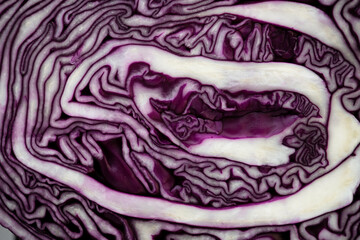 Obraz premium Red cabbage texture. A pattern with winding lines. Purple. Abstraction. Vegetable cut in half