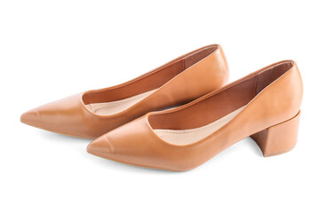Stylish female shoes on white background