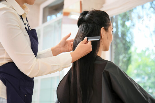 Female hairdresser working with client in salon