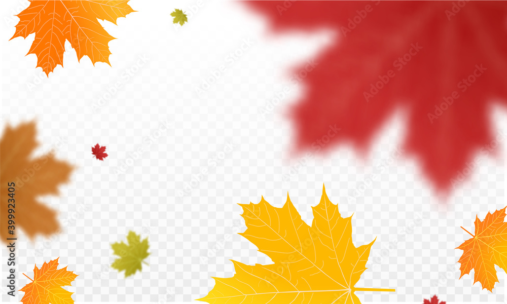 Canvas Prints autumn falling leaves background vector template.