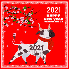 Happy Chinese 2021 new year greeting card. Year of the ox. Cute bull with red scarf and blooming tree flowers. Chinese zodiac symbol traditional holidays cartoon character. Vector illustration