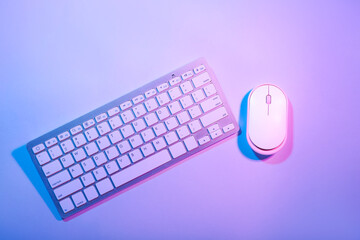 Computer keyboard and mouse on color background