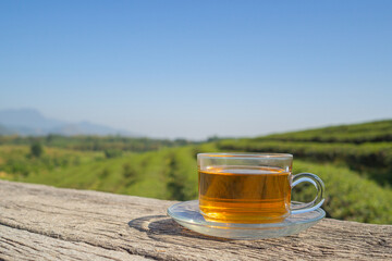 A cup of hot tea on cement with the tea plantation background. Space for text. Close-up photo