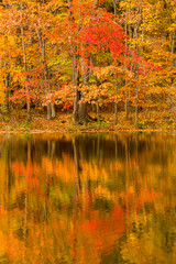 Fall colors and reflections in Birge Pond in Bristol, Connecticut.